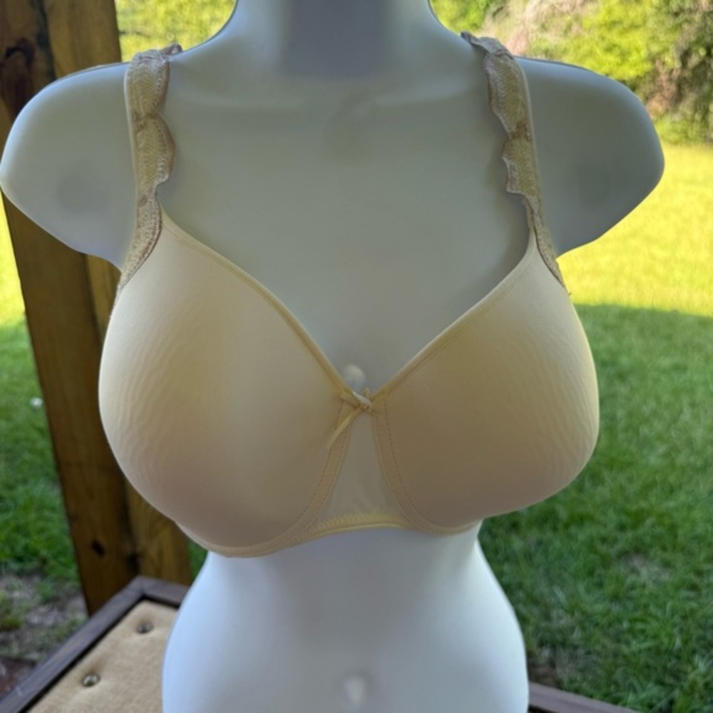 Chantelle 2982 Legende Cream Lace Accent Bra 38C